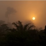 Sunrise at Kakum