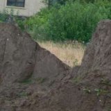 sand-martins-005